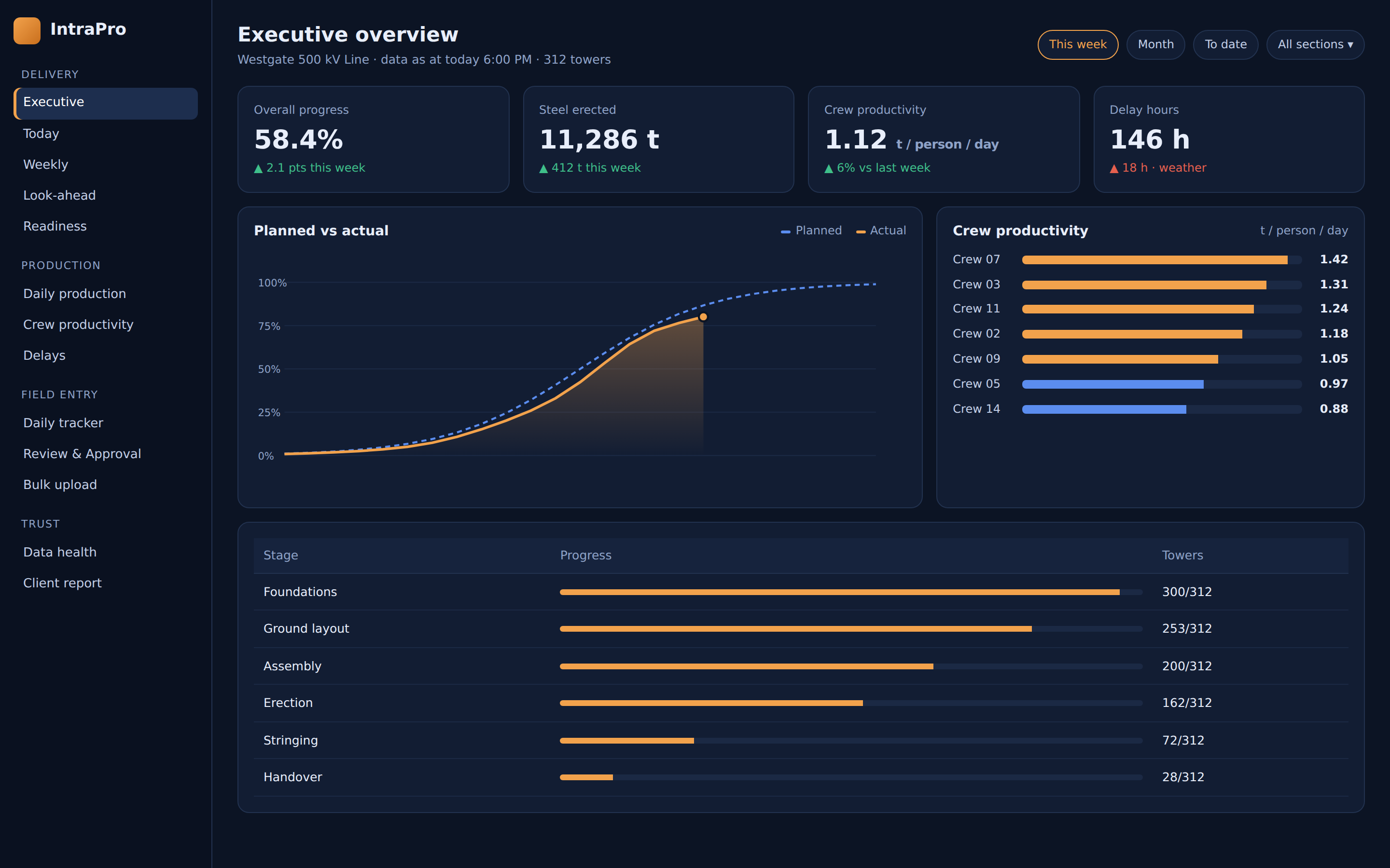 IntraPro executive overview with overall progress, steel erected, crew productivity, delays and planned versus actual charts